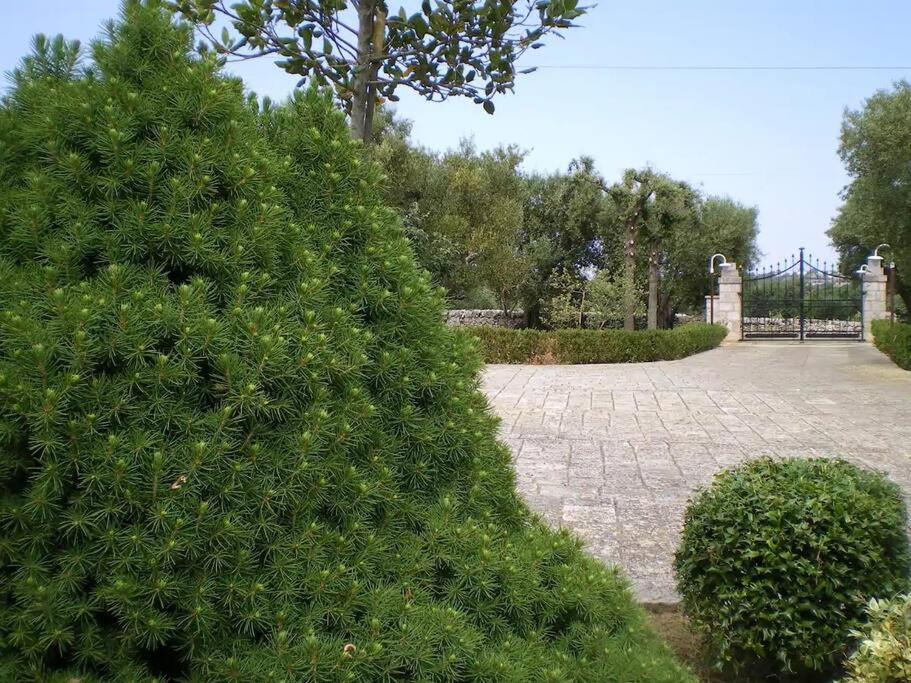 Trulli Giulivi Villa Locorotondo Exterior foto